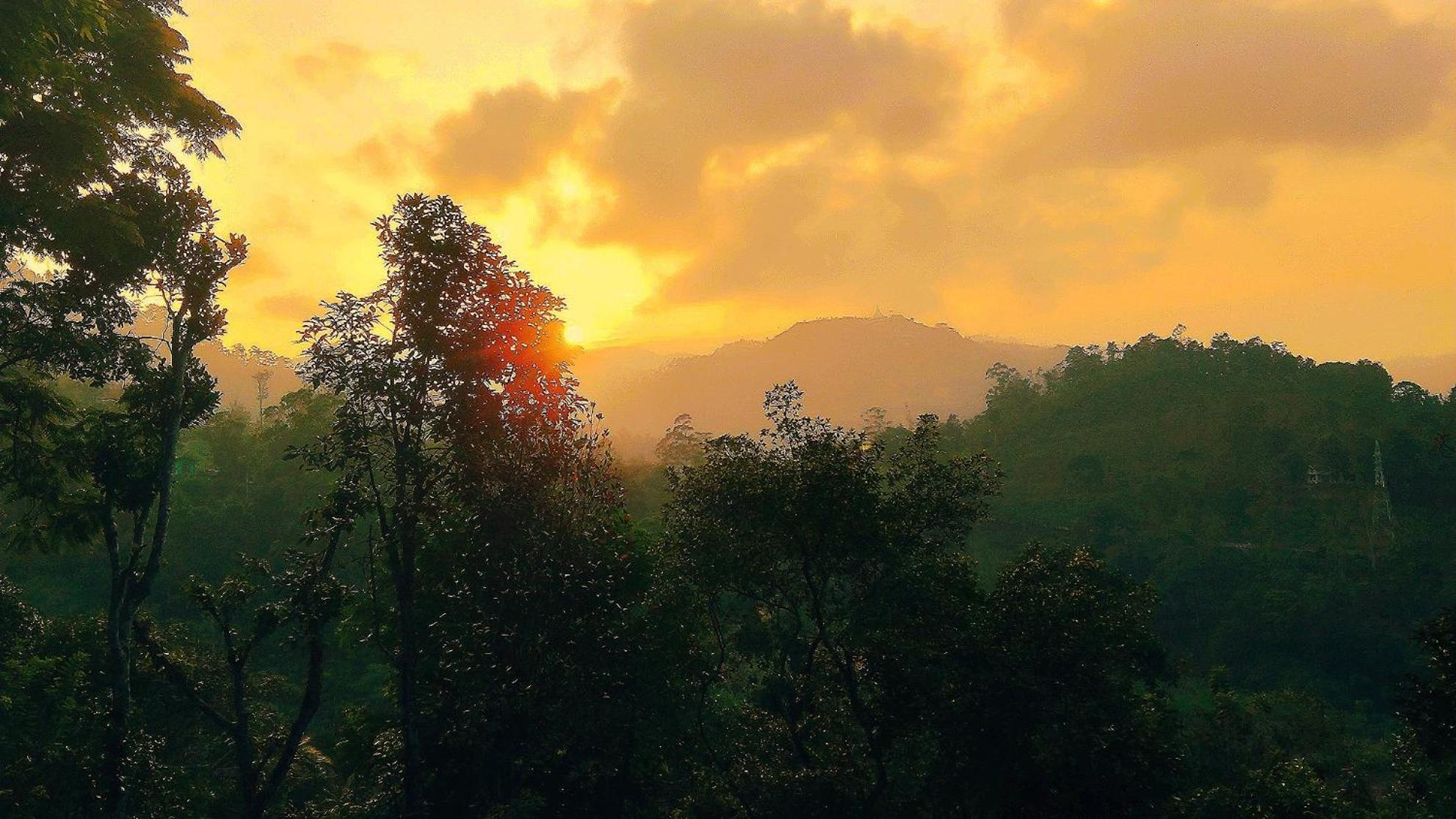 엘라 Green Jungle " Cool View" 아파트 외부 사진